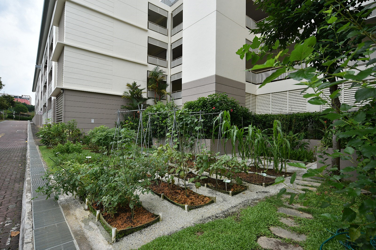 Eco Garden